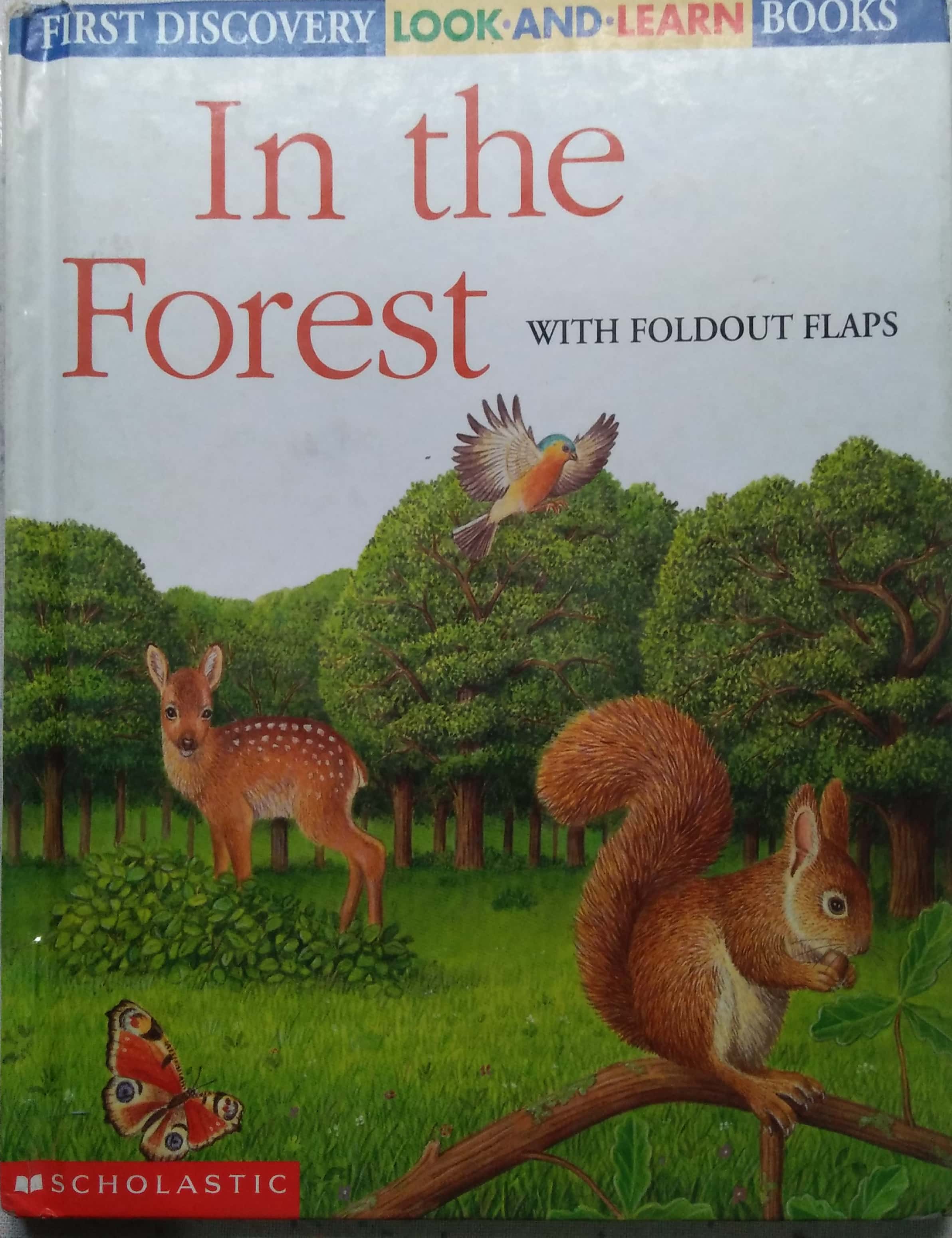IN THE FOREST / FIRST DISCOVERY LOOK AND LEARN BOOKS
