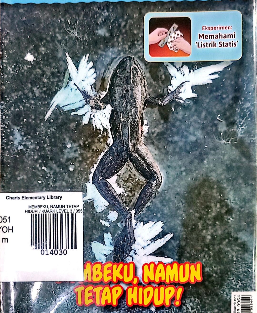 MEMBEKU, NAMUN TETAP HIDUP! / KUARK LEVEL 3 / 055
