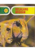 BELALANG MIGRAN/SERI MISTERI ALAM