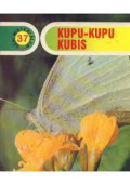 KUPU-KUPU KUBIS/MISTERI ALAM