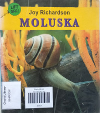 Image of MOLUSKA/LIFT OFF!