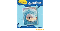 Image of WEATHER / HOW ARTISTS SEE
