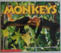 Image of MONKEYS
