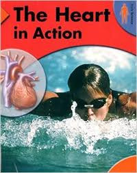 Image of THE HEART IN ACTION / BODY SCIENCE
