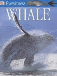 Image of WHALE / EYEWITNESS