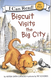 Image of BISCUIT VISITS THE BIG CITY / MY FIRST I CAN READ BOOK