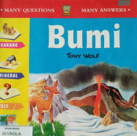Image of BUMI / MANY QUESTIONS MANY ANSWERS