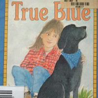 Image of TRUE BLUE / ALL ABOARD READING