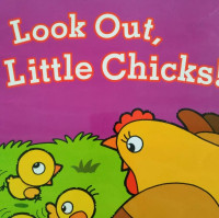 Image of LOOK OUT, LITTLE CHICKS! / BIG BOOK
