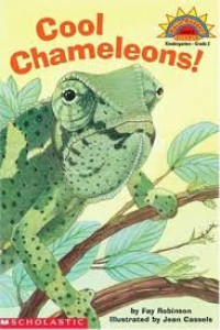 Image of COOL CHAMELEONS !