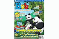 Image of PANDA RAKSASA PERTAMA DI INDONESIA / BOBO 29 / 2017
